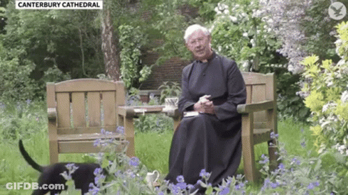 A Priest Is Sitting On A Bench In A Garden With A Cup Of Tea And A Dog . GIF