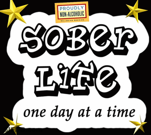 A Proudly Non-Alcoholic Sober Life One Day At A Time Sign GIF