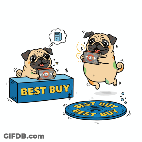 A Pug Dog Holding A Box Of Ryzen Sits At A Best Buy Counter GIF