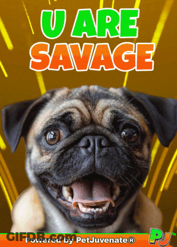 A Pug Dog Is On A Poster That Says U Are Savage Powered By Petjuvenate GIF