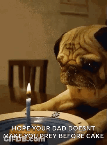 A Pug Dog Is Sitting At A Table With A Lit Candle In Front Of Him . GIF