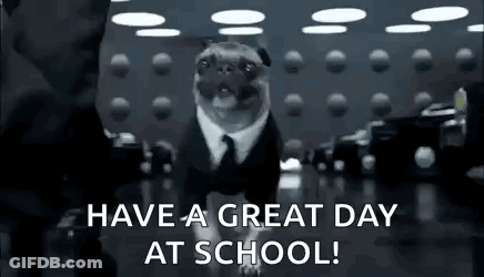 A Pug Dog Is Wearing A Suit And Tie And Is Walking In A Room . GIF