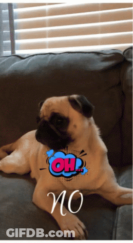 A Pug Dog Laying On A Couch With A Comic Bubble That Says Oh No GIF