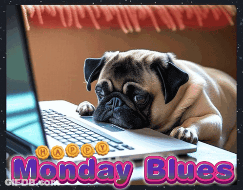 A Pug Dog Laying On Top Of A Laptop With The Words Monday Blues GIF