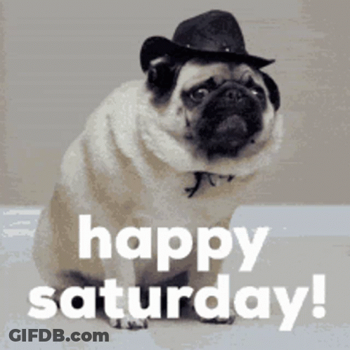 A Pug Dog Wearing A Cowboy Hat Says Happy Saturday ! GIF