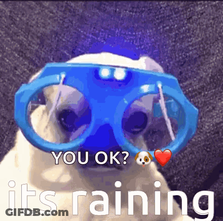 A Pug Dog Wearing A Pair Of Blue Goggles With The Words " You Ok ? It 'S Raining " On The Bottom GIF