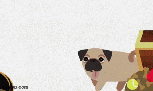 A Pug Dog Wearing A Pirate Hat Stands In Front Of A Treasure Chest GIF