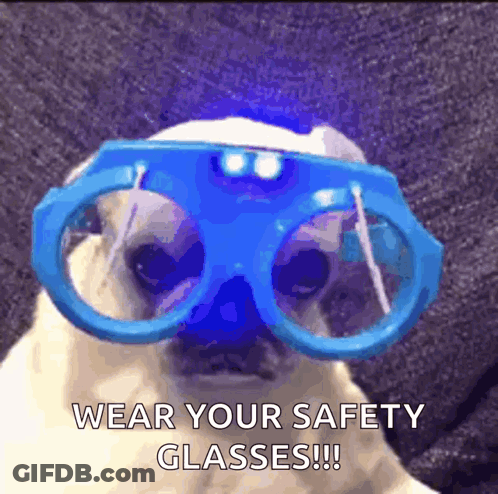 A Pug Dog Wearing Blue Safety Glasses With A Light On It 'S Nose GIF