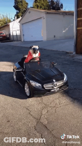 A Pug Wearing A Santa Hat Is Driving A Mercedes Toy Car GIF