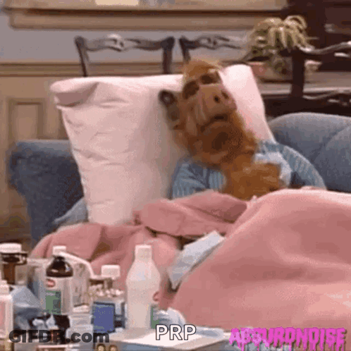 A Puppet Is Laying On A Couch With A Blanket And A Bottle Of Prp . GIF