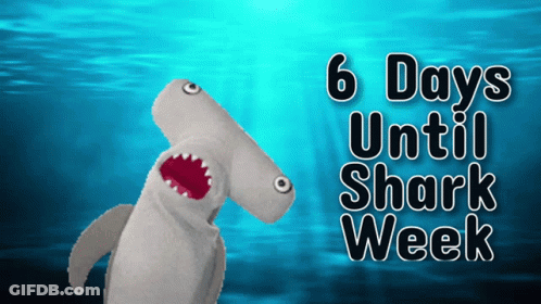 A Puppet Of A Hammerhead Shark With The Words 6 Days Until Shark Week Behind It GIF