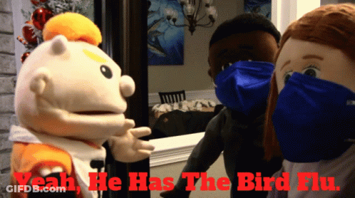 A Puppet Wearing A Mask With The Words Yeah He Has The Bird Flu Below It GIF