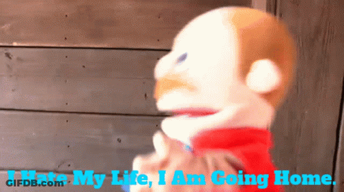 A Puppet With The Words " I Hate My Life I Am Going Home " Below It GIF