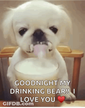 A Puppy Drinking Milk From A Glass With The Words " Goodnight My Drinking Bear !! I Love You " GIF