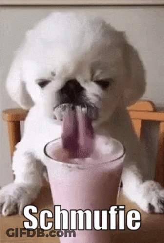 A Puppy Is Drinking A Milkshake From A Glass . GIF