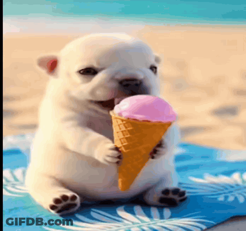 A Puppy Is Eating A Pink Ice Cream Cone On The Beach GIF
