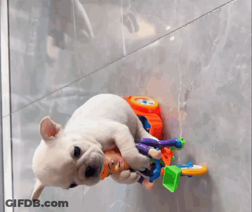 A Puppy Is Playing With A Toy Bicycle On A Tiled Floor GIF