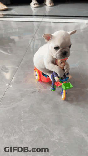 A Puppy Is Riding A Toy Bicycle With A Toy Man On It GIF