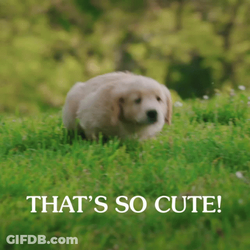 A Puppy Is Running In The Grass With The Words That 'S So Cute GIF