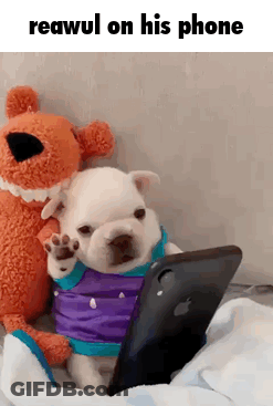 A Puppy Is Sitting Next To A Stuffed Animal Looking At A Cell Phone . GIF