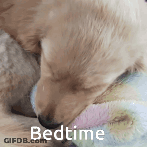A Puppy Is Sleeping On A Blanket With The Word Bedtime Written Below It GIF