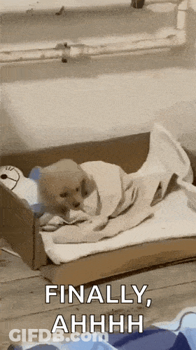A Puppy Is Wrapped In A Blanket In A Cardboard Box With The Words Finally Ahhhh Below It GIF