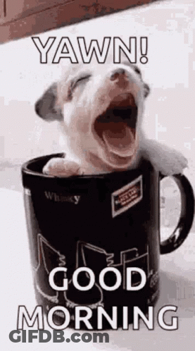 A Puppy Is Yawning In A Coffee Mug And Saying `` Yawn ! Good Morning '' . GIF