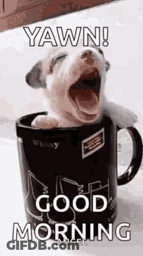 A Puppy Is Yawning In A Coffee Mug And Says `` Yawn ! Good Morning '' . GIF