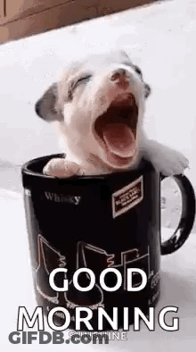 A Puppy Is Yawning In A Coffee Mug With A Good Morning Message . GIF