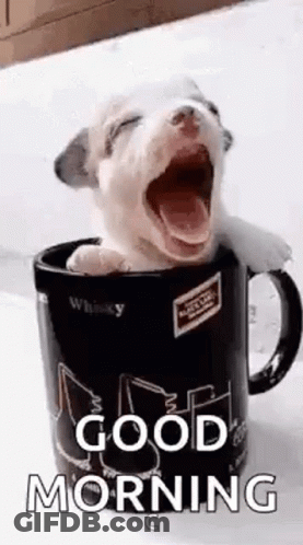A Puppy Is Yawning In A Coffee Mug With The Words `` Good Morning '' Written On It . GIF