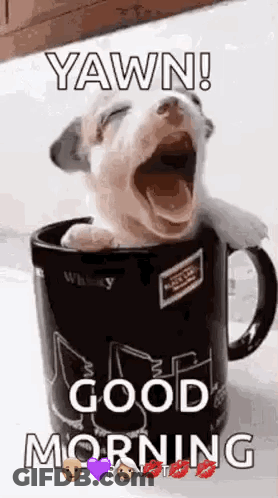 A Puppy Is Yawning In A Coffee Mug With The Words `` Yawn ! Good Morning '' . GIF