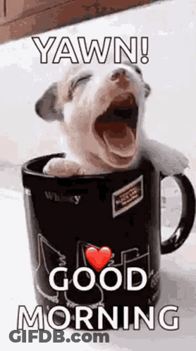 A Puppy Is Yawning In A Coffee Mug With The Words `` Yawn ! Good Morning '' . GIF