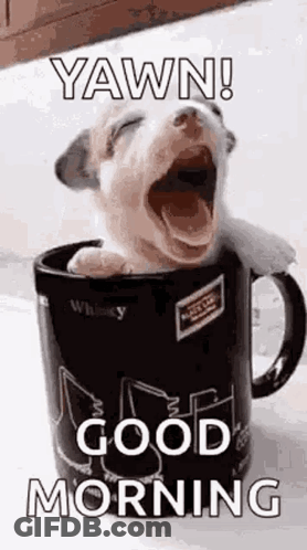 A Puppy Is Yawning While Sitting In A Coffee Mug . GIF