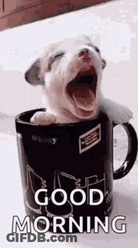 A Puppy Is Yawning While Sitting In A Coffee Mug . GIF