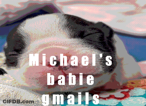 A Puppy Laying On A Blanket With The Words Michael 'S Babie Gmails Above It GIF