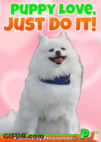 A Puppy Love Just Do It Poster With A White Pomeranian GIF