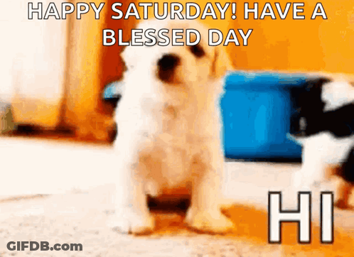 A Puppy Says Happy Saturday Have A Blessed Day GIF