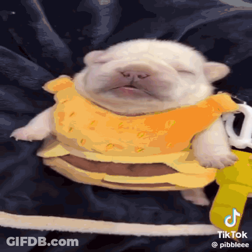 A Puppy Wearing A Hamburger Costume Is Sleeping GIF