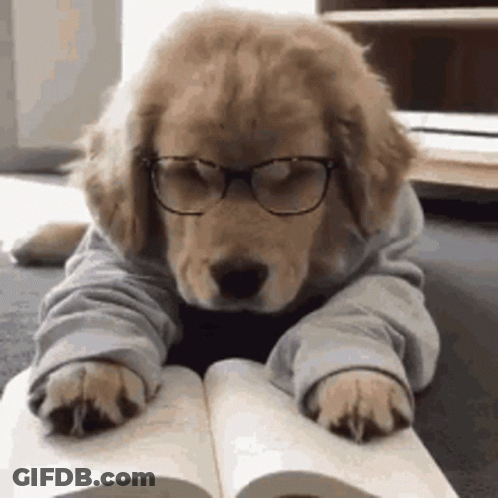 A Puppy Wearing Glasses And A Sweater Is Laying On A Book . GIF