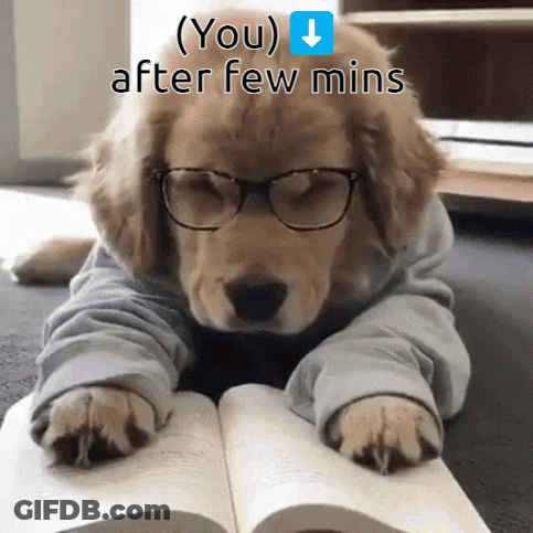A Puppy Wearing Glasses And A Sweater Is Laying On The Floor Reading A Book GIF