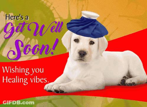 A Puppy With An Ice Pack On Its Head Is On A Card That Says Get Well Soon GIF