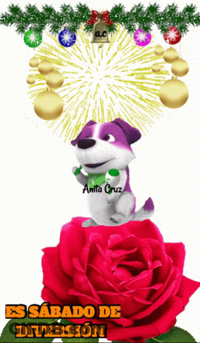 A Purple And White Dog Is Sitting On A Red Rose GIF