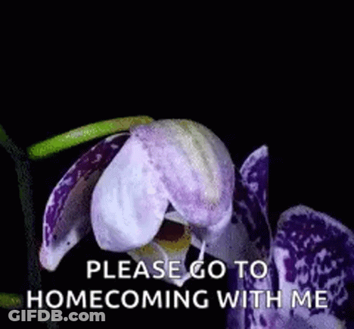 A Purple And White Flower With The Words Please Go To Homecoming With Me GIF