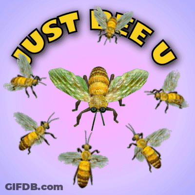A Purple Background With Bees And The Words Just Beeu GIF
