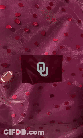 A Purple Background With Hearts And A Flag That Says Boomer On It GIF