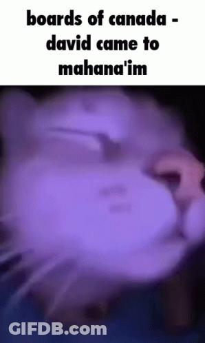 A Purple Background With The Words Boards Of Canada - David Came To Mahana 'Im GIF