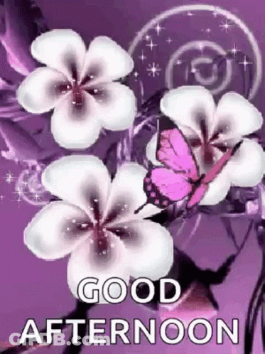 A Purple Background With White Flowers And A Pink Butterfly . GIF