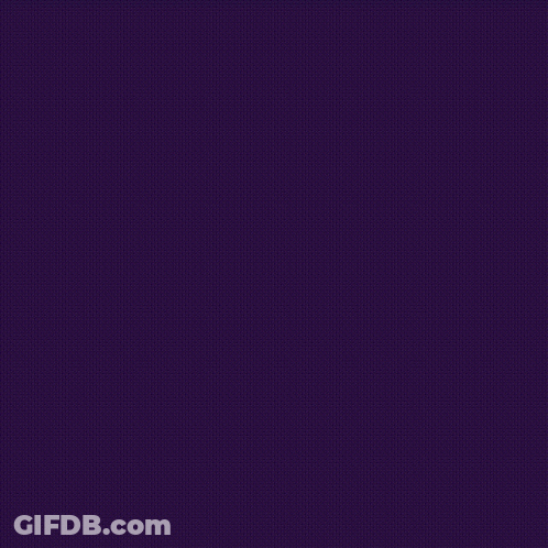 A Purple Background With White Text That Says ' Racadinho Importante Para Você ' GIF