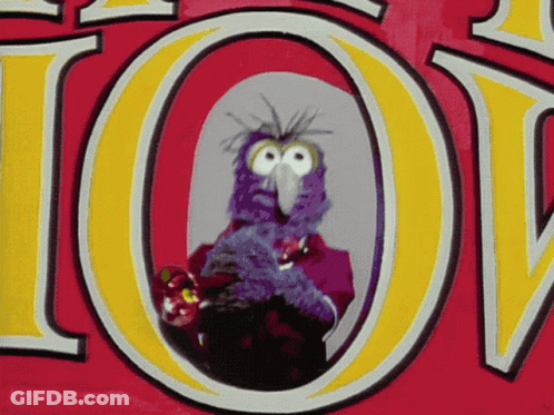 A Purple Bird Is Holding A Flower In Front Of The Letter O. GIF