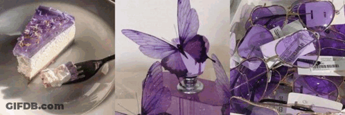 A Purple Butterfly Sits On Top Of A Bottle Of Perfume GIF